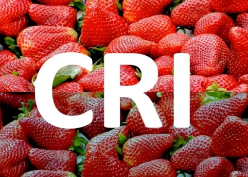 شاخص نمود رنگ CRI چیست و چه کاربردی دارد