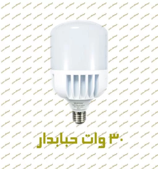 30 w bulb 510×544