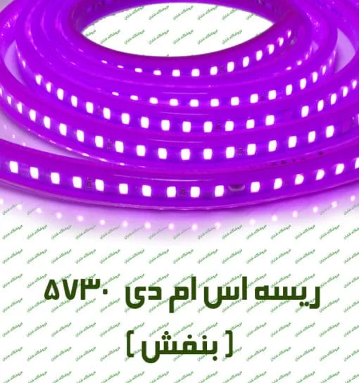 5730 banafsh 510×544