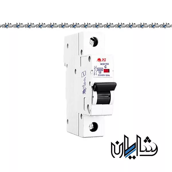 کلید خودکار مینیاتوری یک پل پارس شعاع توس مدل C10A