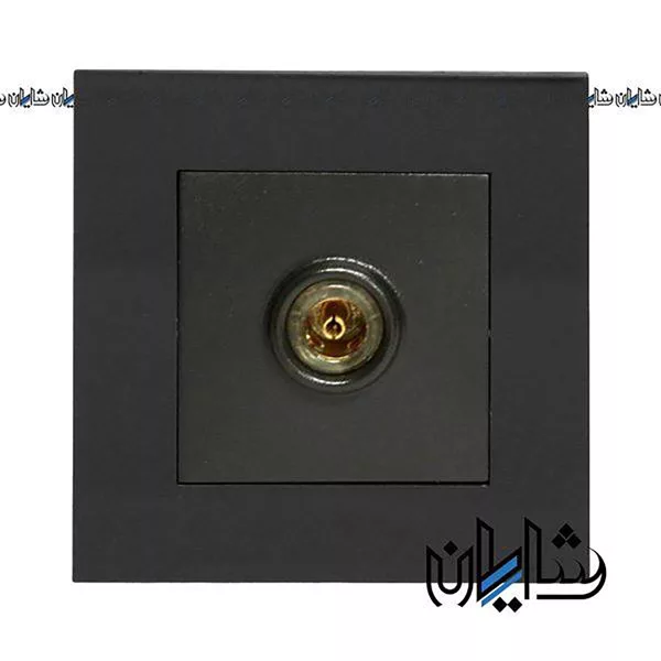 فیش آنتن دلند الکتریک مدل آسا پلکسی مشکی