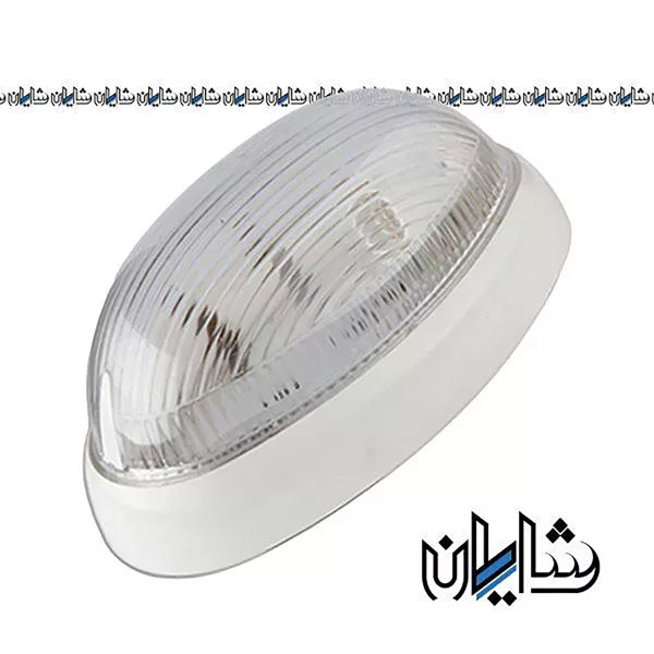 چراغ سقفی بیضی دلند