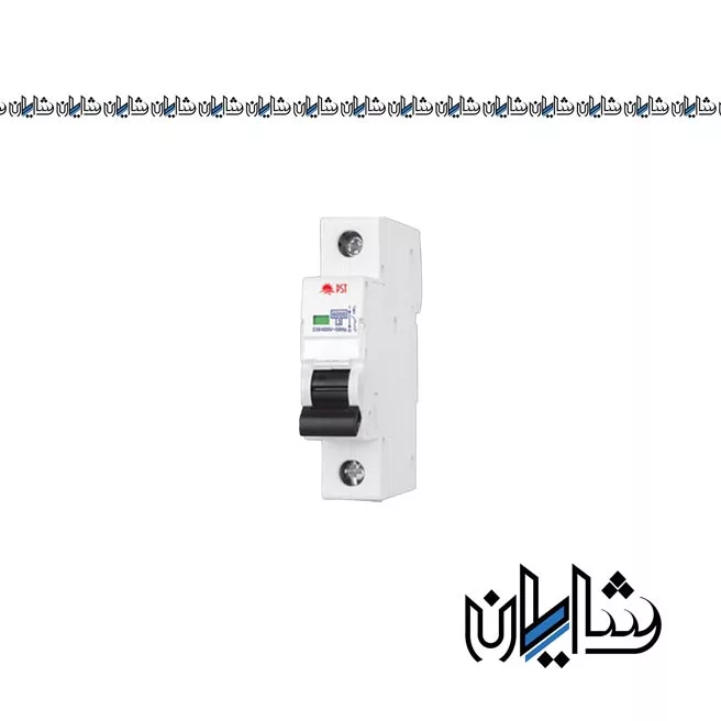 کلید خودکار مینیاتوری یک پل پارس شعاع توس مدل B25A