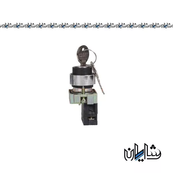 کلید فرمان یکطرفه سوئیچ دار چینت مدل NP2-BG21
