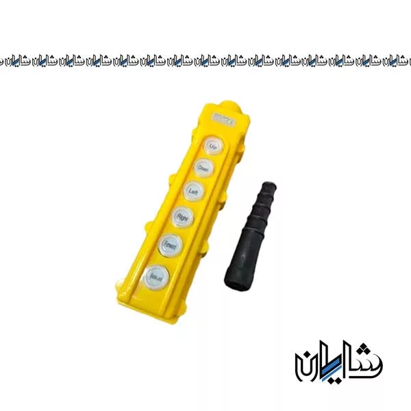 شستی جرثقیل شش فرمان چینت مدل NP3-3